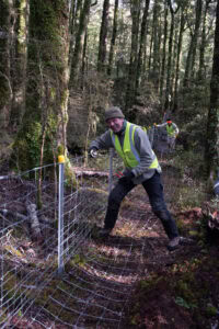 man working on fence in forest